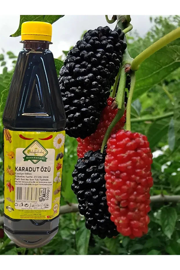 Pekmezci Amca Kara Dut Özü