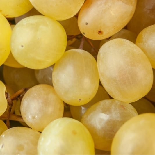 Besni Üzüm Sarı 800gr