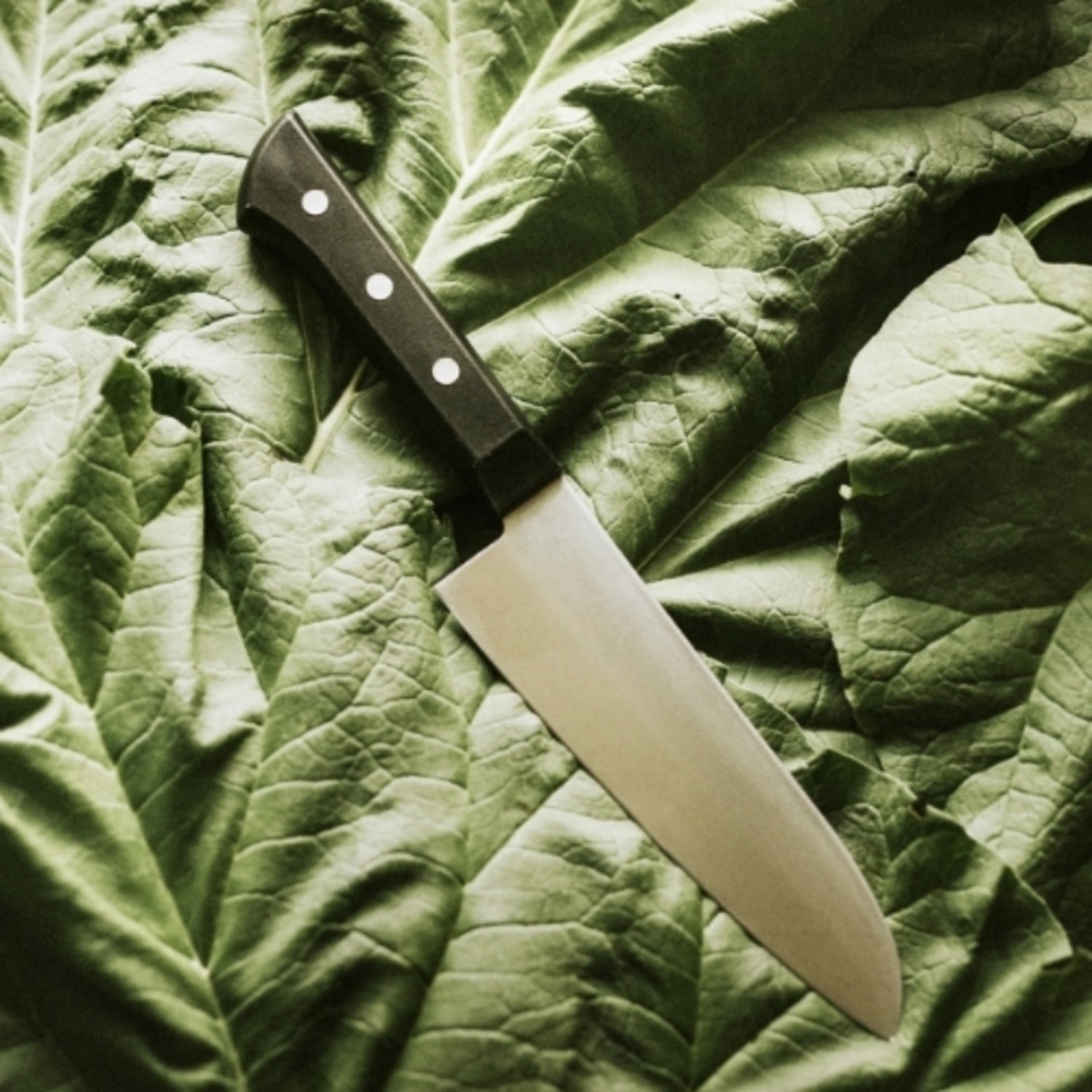 Surmene Sezer Cumhur Chef Bıçağı